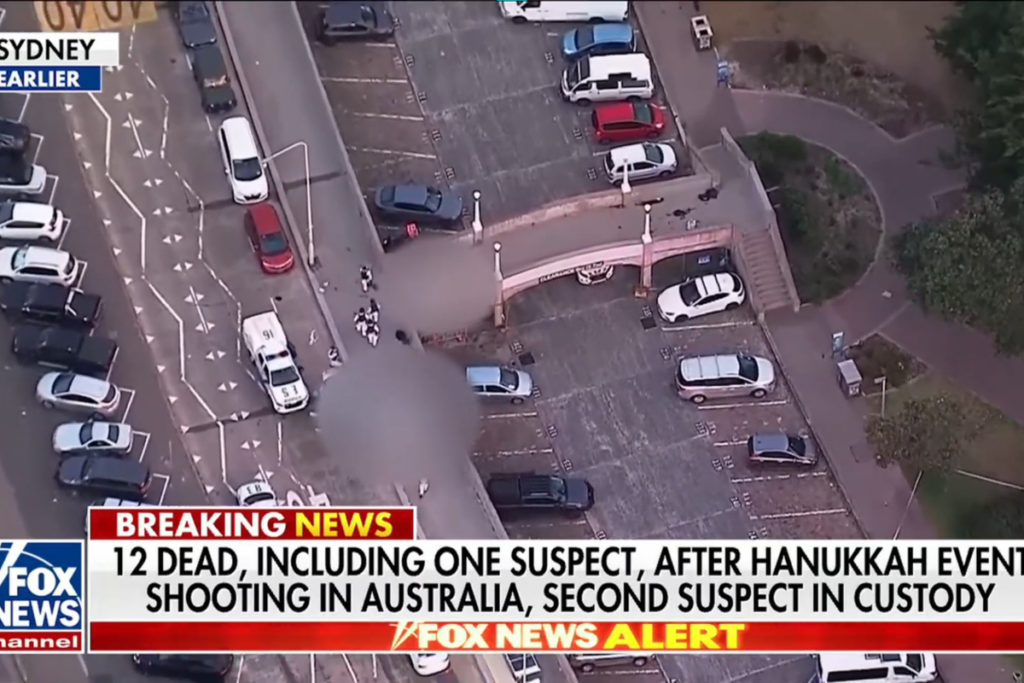‘Absolute legend’: Observers hail ‘hard as nails’ man who wrestled gun from mass shooter