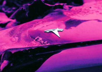 Founder of Mental Health Startup Has Epic Public Breakdown, Tries to Start Fire, Flees in Tesla, Crashes