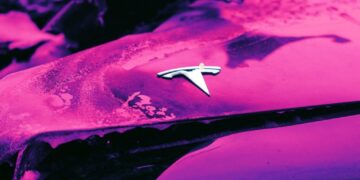 Founder of Mental Health Startup Has Epic Public Breakdown, Tries to Start Fire, Flees in Tesla, Crashes