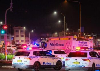 Hero bystander who tackled Bondi gunman praised by Trump, Ackman