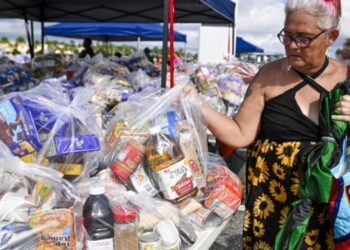 Trump vows to fight ‘fraud’ in SNAP benefits for 42 million Americans