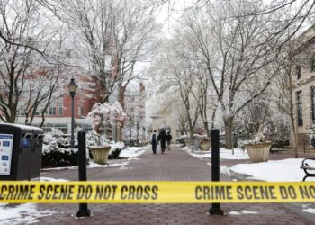 An infuriating wrinkle in the Brown University shooting