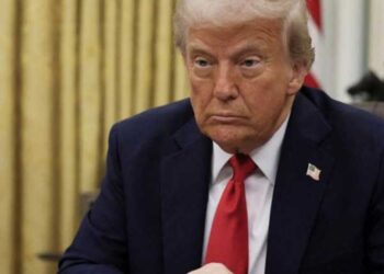 ‘Scared into submission!’ Legal experts take victory lap as Trump official resigns