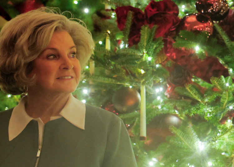 ‘Damn!’ Susie Wiles told to expect repercussions after ‘wild’ White House revelations