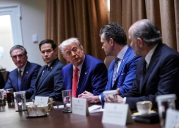 Trump Cabinet secretaries race to put out statements supporting Susie Wiles