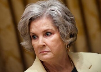 How Susie Wiles Stepped In It