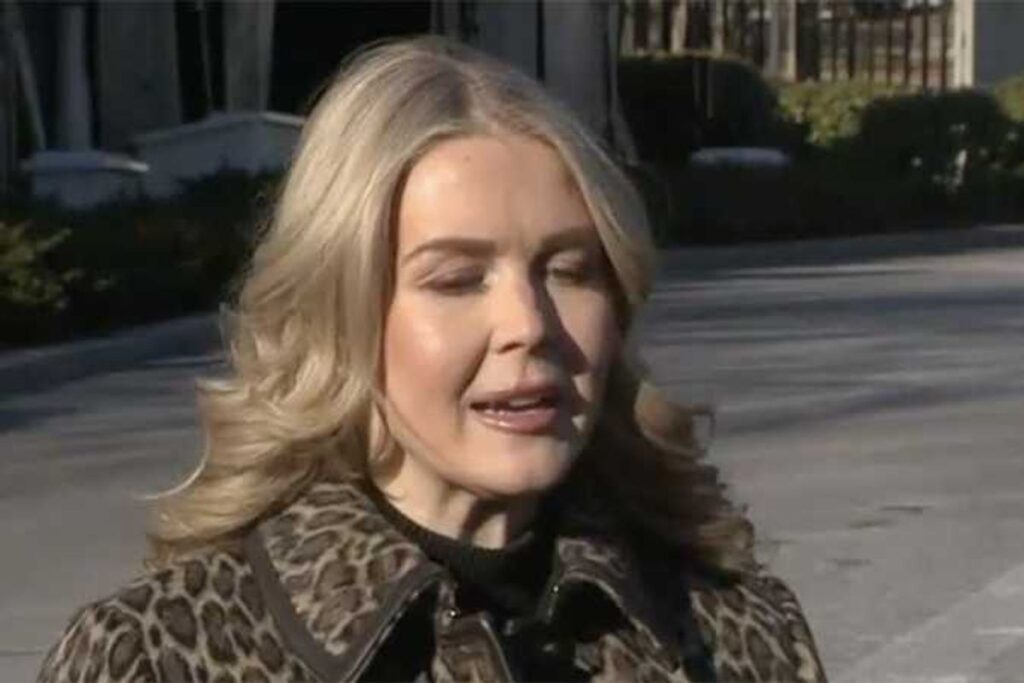 ‘That push-back sounds ridiculous’: Karoline Leavitt flattened over Susie Wiles defense