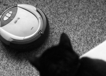 The Roomba Was a Disappointment