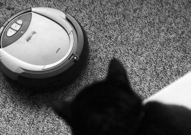 The Roomba Was a Disappointment