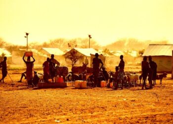 A Huge Number of People Starved to Death After Elon Musk Cut USAID’s Funding