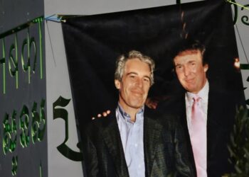 Epstein directed a survivor to have sex with male guests at party Trump attended: report