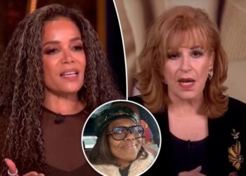 Sunny Hostin, Joy Behar ‘ruined’ Deborah Roberts’ holiday charity clothing sale for junior staffers