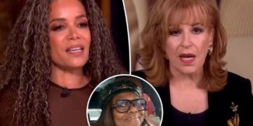 Sunny Hostin, Joy Behar ‘ruined’ Deborah Roberts’ holiday charity clothing sale for junior staffers