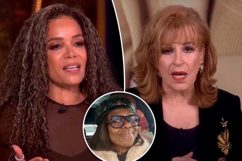 Sunny Hostin, Joy Behar ‘ruined’ Deborah Roberts’ holiday charity clothing sale for junior staffers