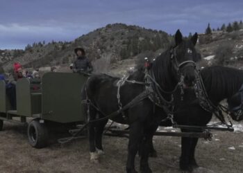 ‘Mother Nature has been dealing a really hard deck’: Western ski resorts struggle with a warm, snowless start to winter