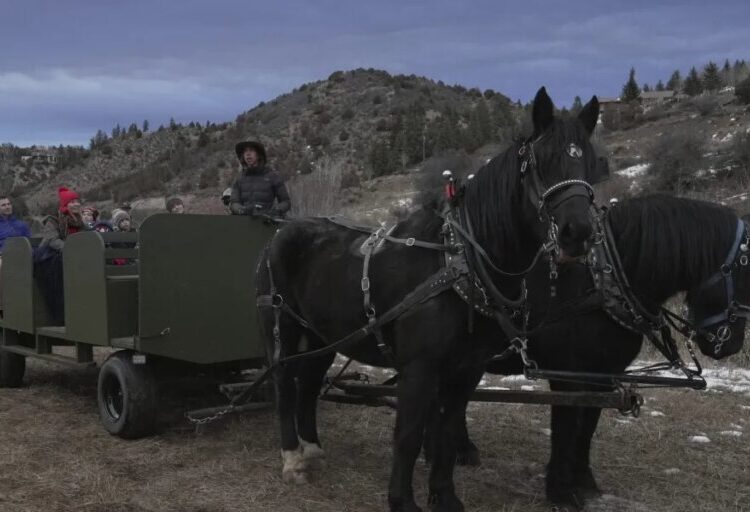 ‘Mother Nature has been dealing a really hard deck’: Western ski resorts struggle with a warm, snowless start to winter