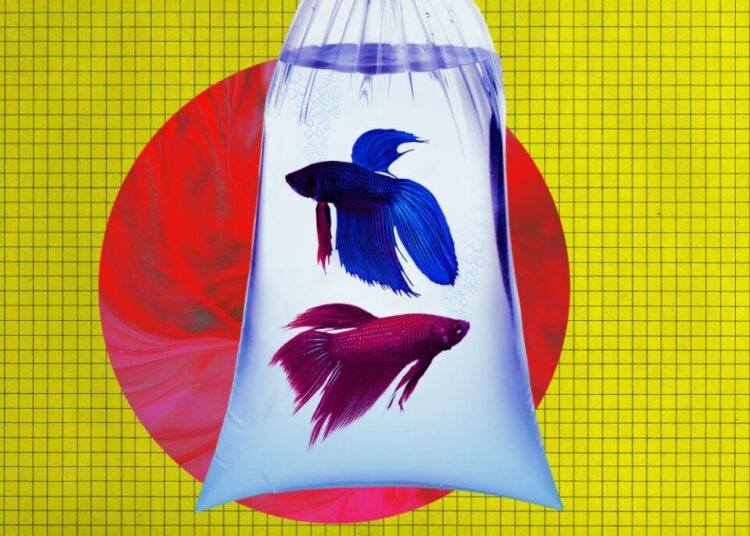 Anthropic’s Advanced New AI Tries to Run Vending Machine, Goes Bankrupt After Ordering PlayStation 5 and Live Fish