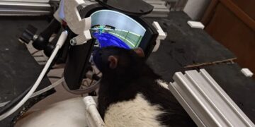 Rats Successfully Trained to Shoot Demons in “Doom”