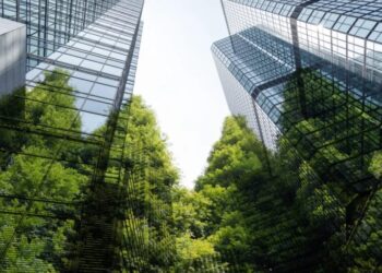 2025: the year sustainability didn’t die 