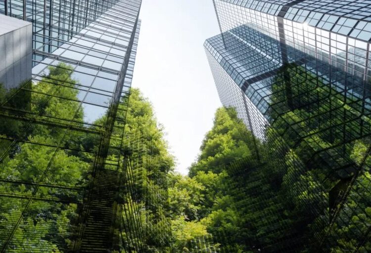 2025: the year sustainability didn’t die 