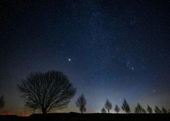 How to Watch the Last Meteor Shower of 2025