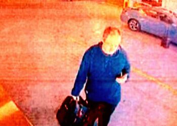 Murder of MIT Fusion Scientist Getting More and More Bizarre