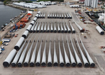 Trump Halts 5 Wind Farms Off the East Coast