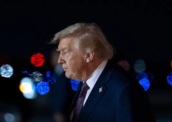 Trump complains Epstein files are a distraction as flight logs reveal deeper ties and ‘unfounded and false’ claims emerge