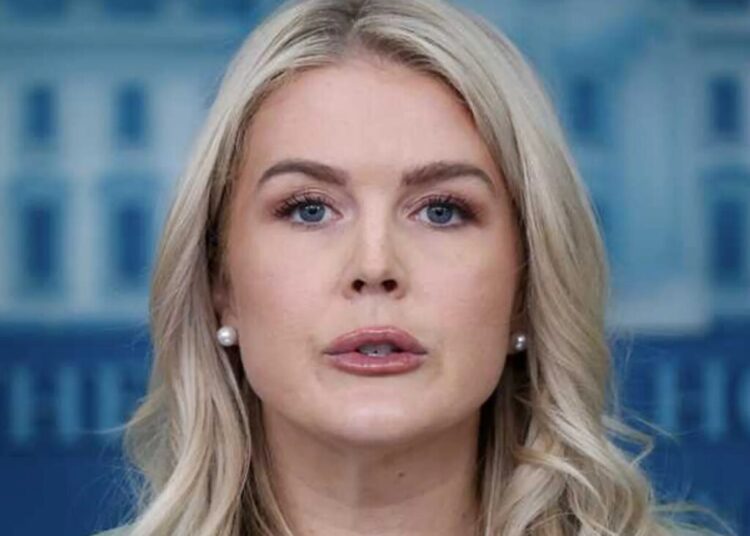 ‘Are pouty lips really so bad?’ WSJ columnist defends Karoline Leavitt’s ‘MAGA beauty’