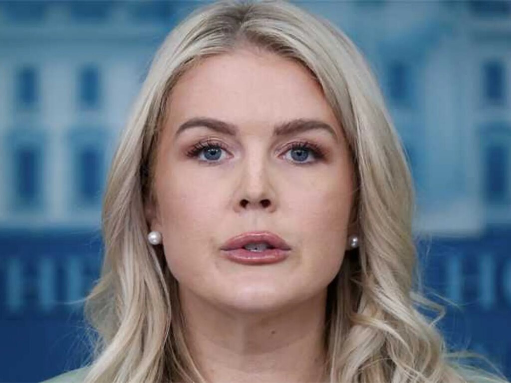 ‘Are pouty lips really so bad?’ WSJ columnist defends Karoline Leavitt’s ‘MAGA beauty’