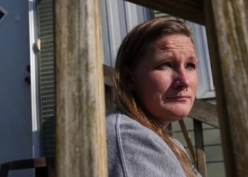 When SNAP payments stopped, a fast-moving nonprofit program rushed in with $12 million—and kept families fed