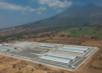 Trump and CBS News’ chief both tried to stop a critical ’60 Minutes’ segment from airing. Somehow it leaked online anyway