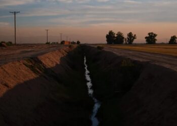 California farming mogul in bitter divorce proceedings arrested on suspicion of murdering his wife