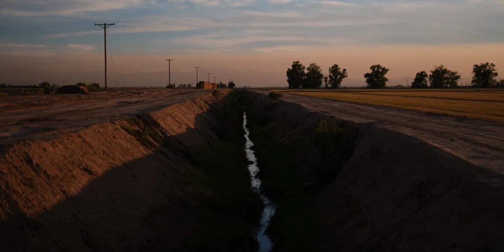 California farming mogul in bitter divorce proceedings arrested on suspicion of murdering his wife