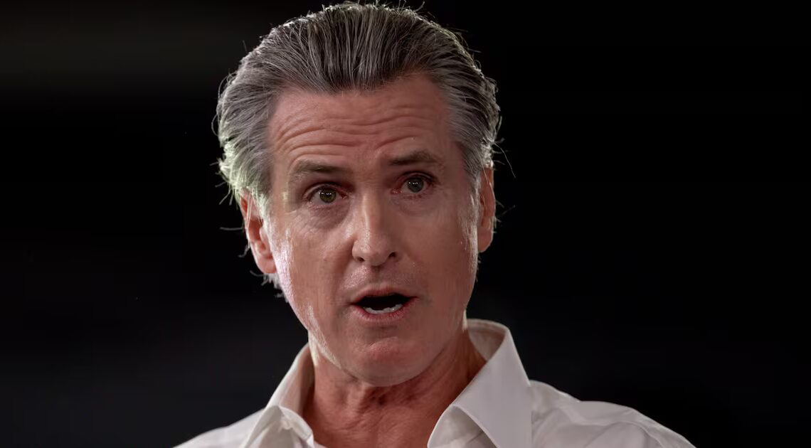 Newsom Posts 2025 Wrapped for Epstein Files
