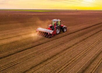 Tariff-ravaged farmers exhausted with Trump using them as ‘pawns’: report