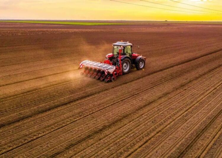 Tariff-ravaged farmers exhausted with Trump using them as ‘pawns’: report