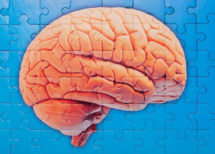 Scientists Identify Possible Game Changing Treatment for Alzheimer’s Disease That Could Control It Like High Cholesterol