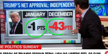 ‘Way, way down there!’ Data guru floored after Trump support among key group plummets