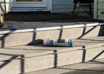 This Warren Buffett-backed wildlife rehab center estimates not having old newspapers to use would create more than $10,000 a year in new costs