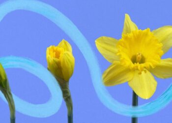 10 Nudge Words to Adopt in 2026