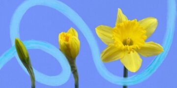 10 Nudge Words to Adopt in 2026