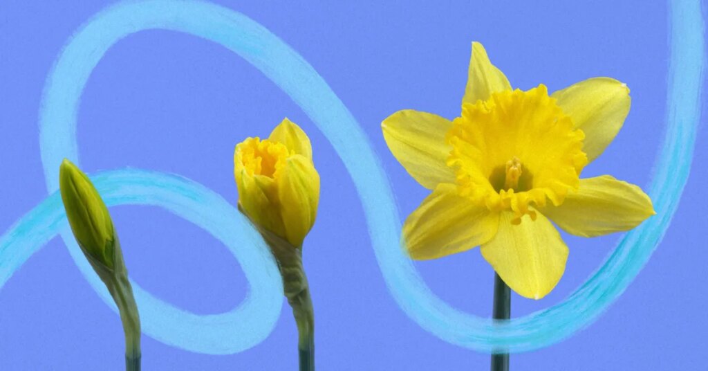 10 Nudge Words to Adopt in 2026