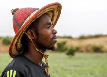 African millennials and Gen Z are quitting their big-city dreams to go make more money back on the farm