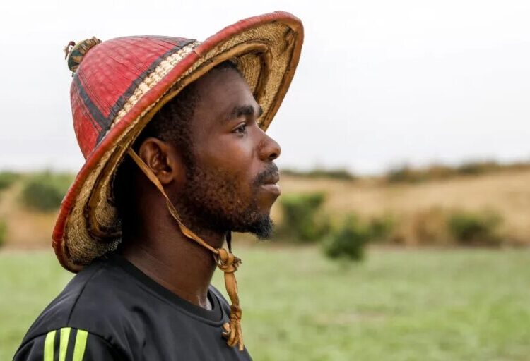 African millennials and Gen Z are quitting their big-city dreams to go make more money back on the farm