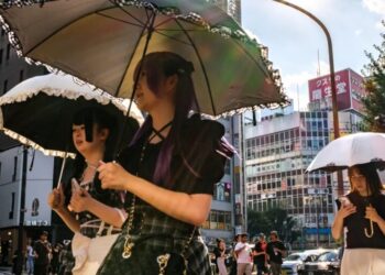 ‘Almost impossible’: Another one of the hottest years on record brings previously unimaginable frequency of heat waves