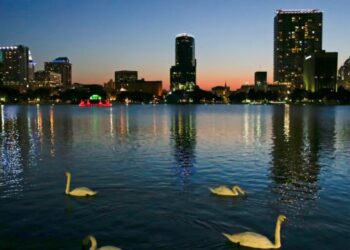 Orlando’s iconic swans are dead. Authorities suspect bird flu