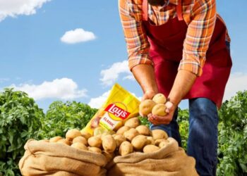 Lay’s drastically rebrands after disturbing finding: 42% of consumers didn’t know their chips were made out of potatoes