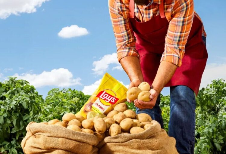 Lay’s drastically rebrands after disturbing finding: 42% of consumers didn’t know their chips were made out of potatoes