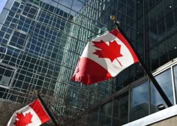 Canadian stocks set record for records in ‘jaw-dropping’ year